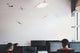 Hire WordPress Developer | Ultimate Guide To Get WP Developer
